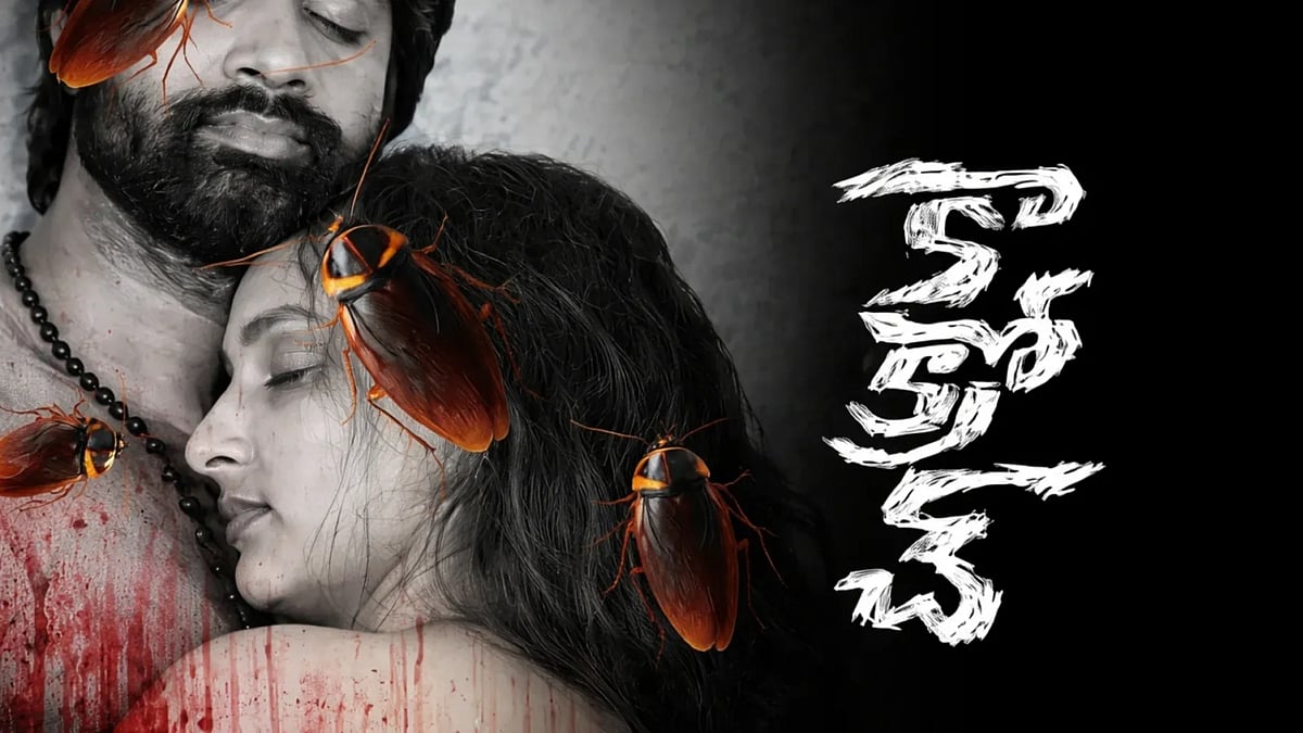 What to watch this week in theatres: Saraswathi, the bride! and more