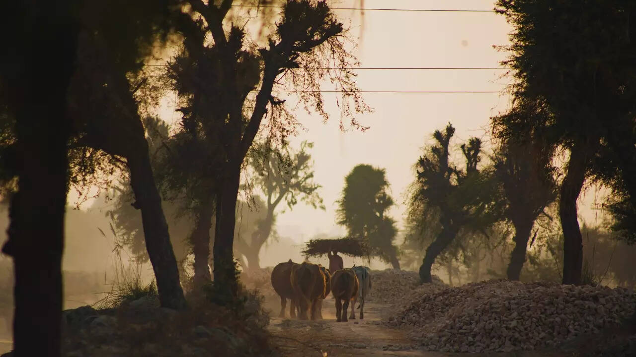 5 places in India where Holi is not celebrated: Know their stories