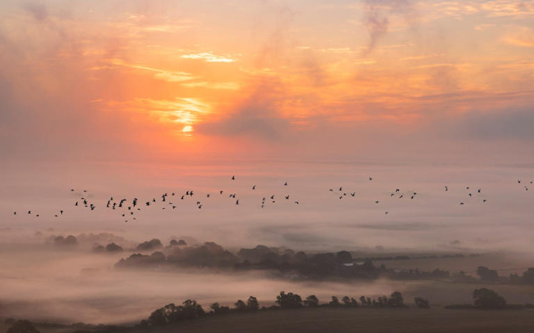 The wonders of British springtime (and where to see them)