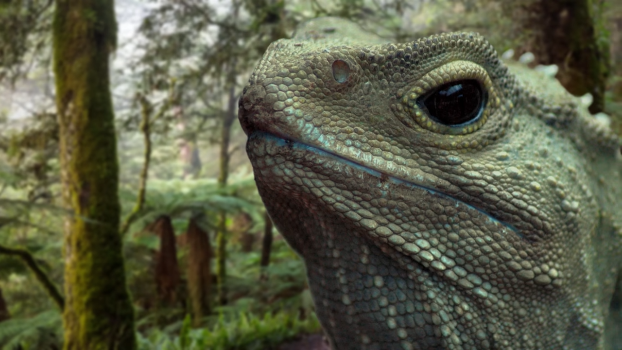 These 6 animals live for decades - and most people have no idea