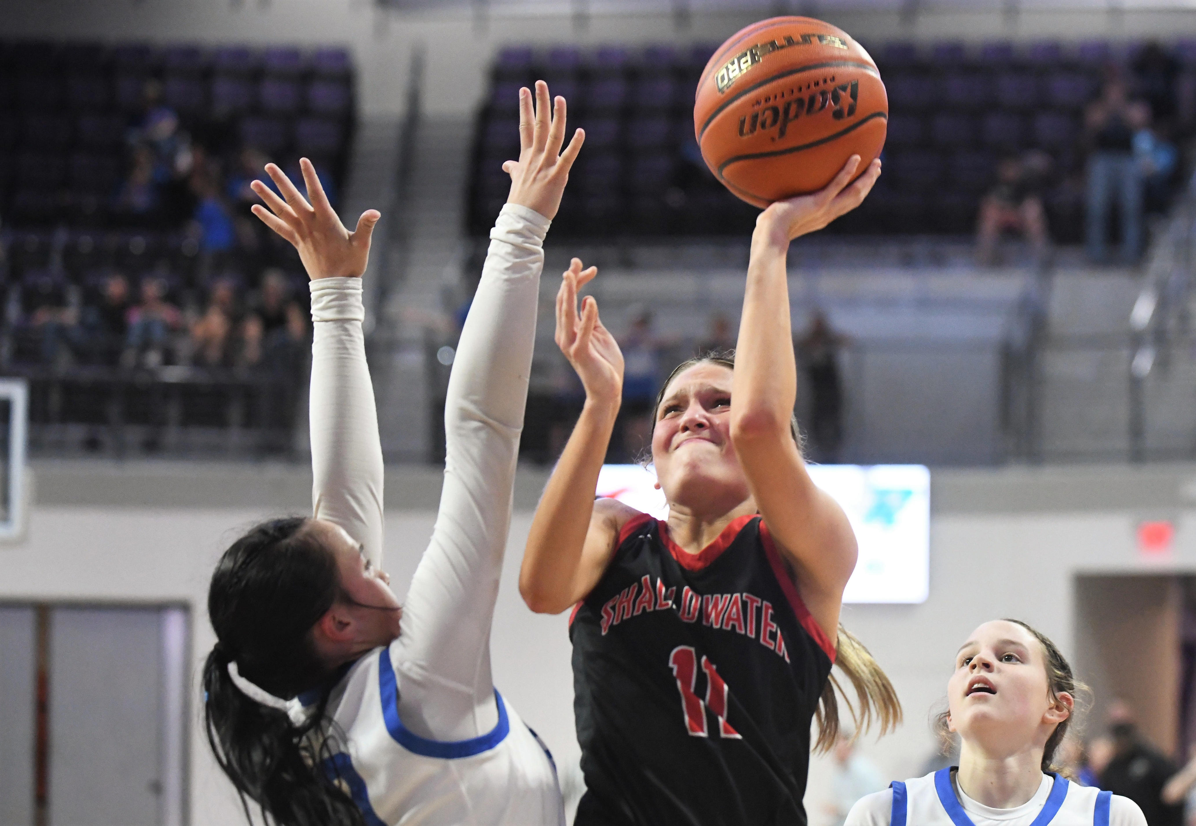 Hitchcock downs Shallowater girls hoops in 3A D-I state championship