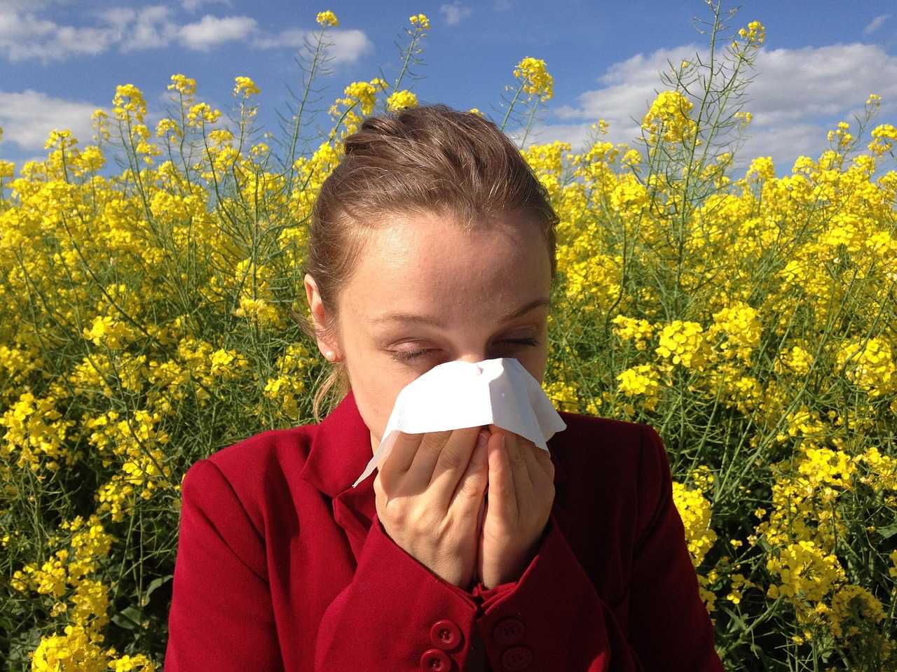 Pollen levels expected to surge as intense, extended allergy season arrives