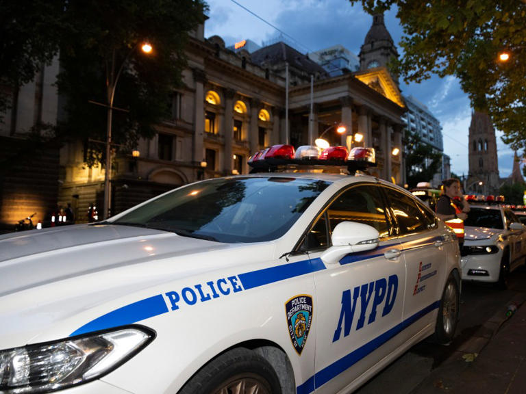Man fatally shot in the head in Bronx NYCHA building: NYPD