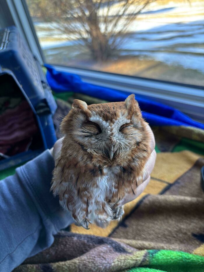 50 Wholesome Photos That Prove We Don’t Deserve Animals