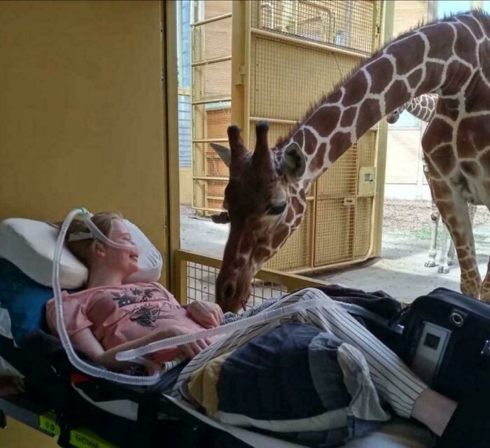 50 Wholesome Photos That Prove We Don’t Deserve Animals