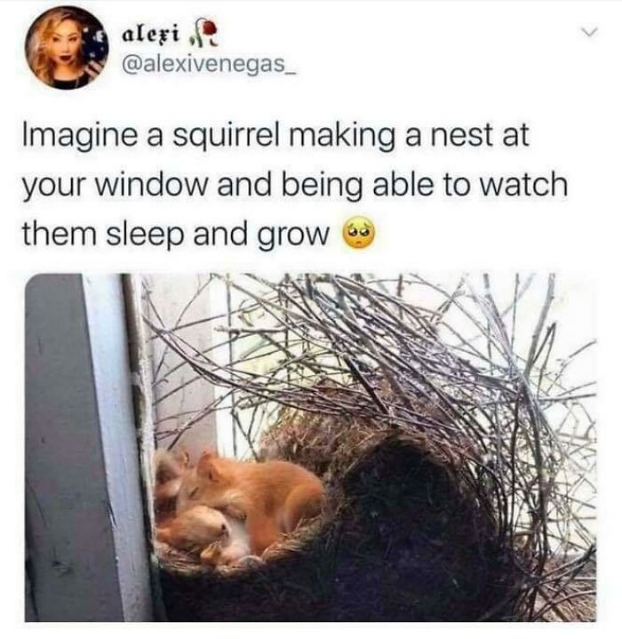 50 Wholesome Photos That Prove We Don’t Deserve Animals