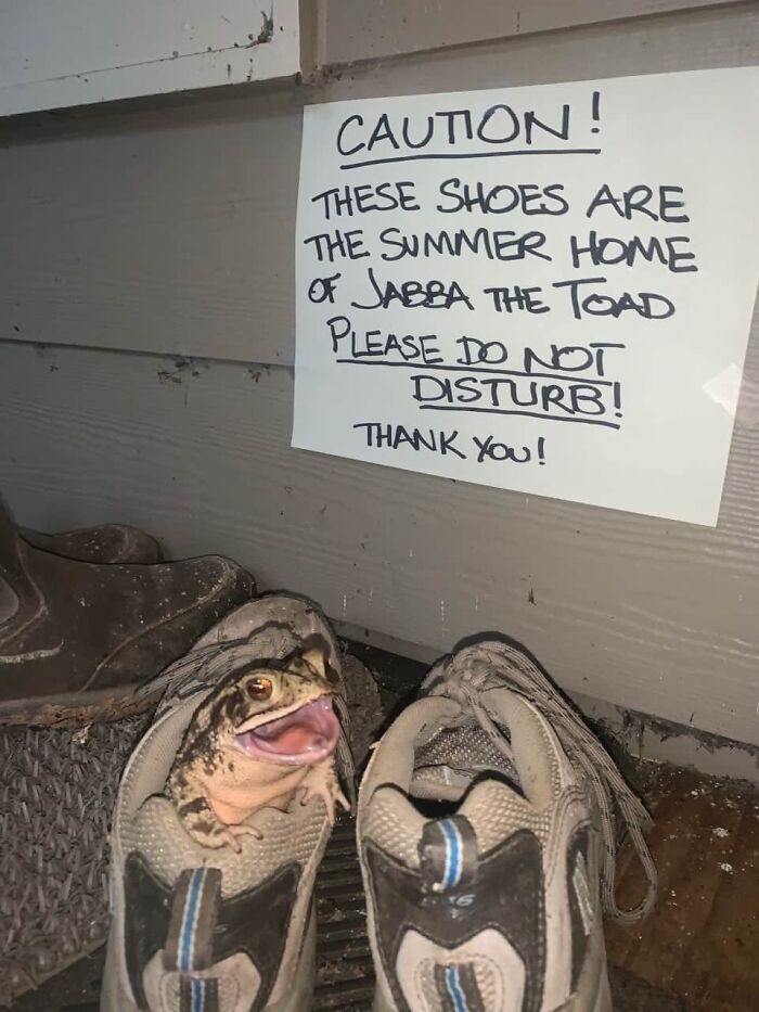 50 Wholesome Photos That Prove We Don’t Deserve Animals