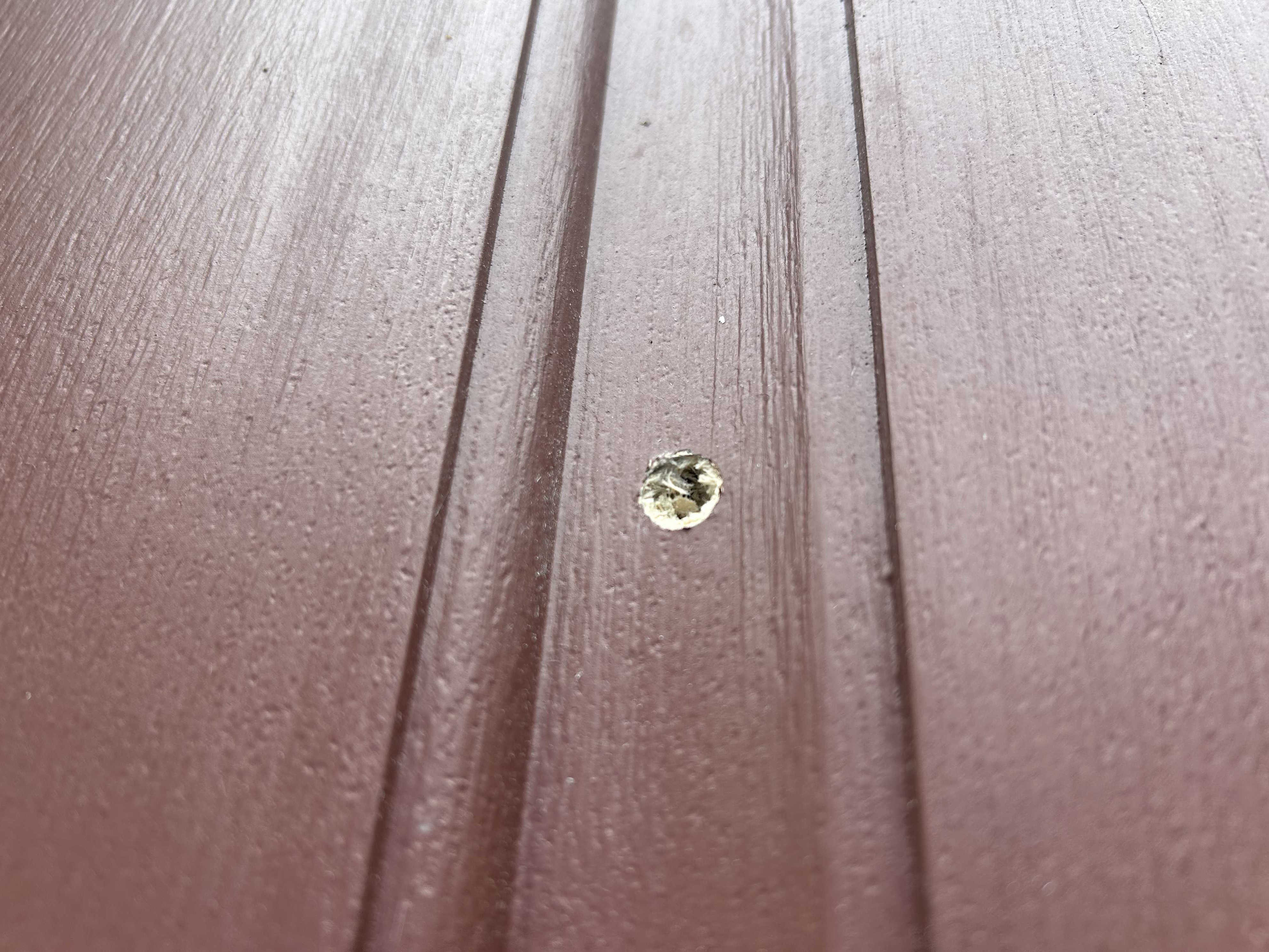 Two teens charged in connection with shots fired into home with ...