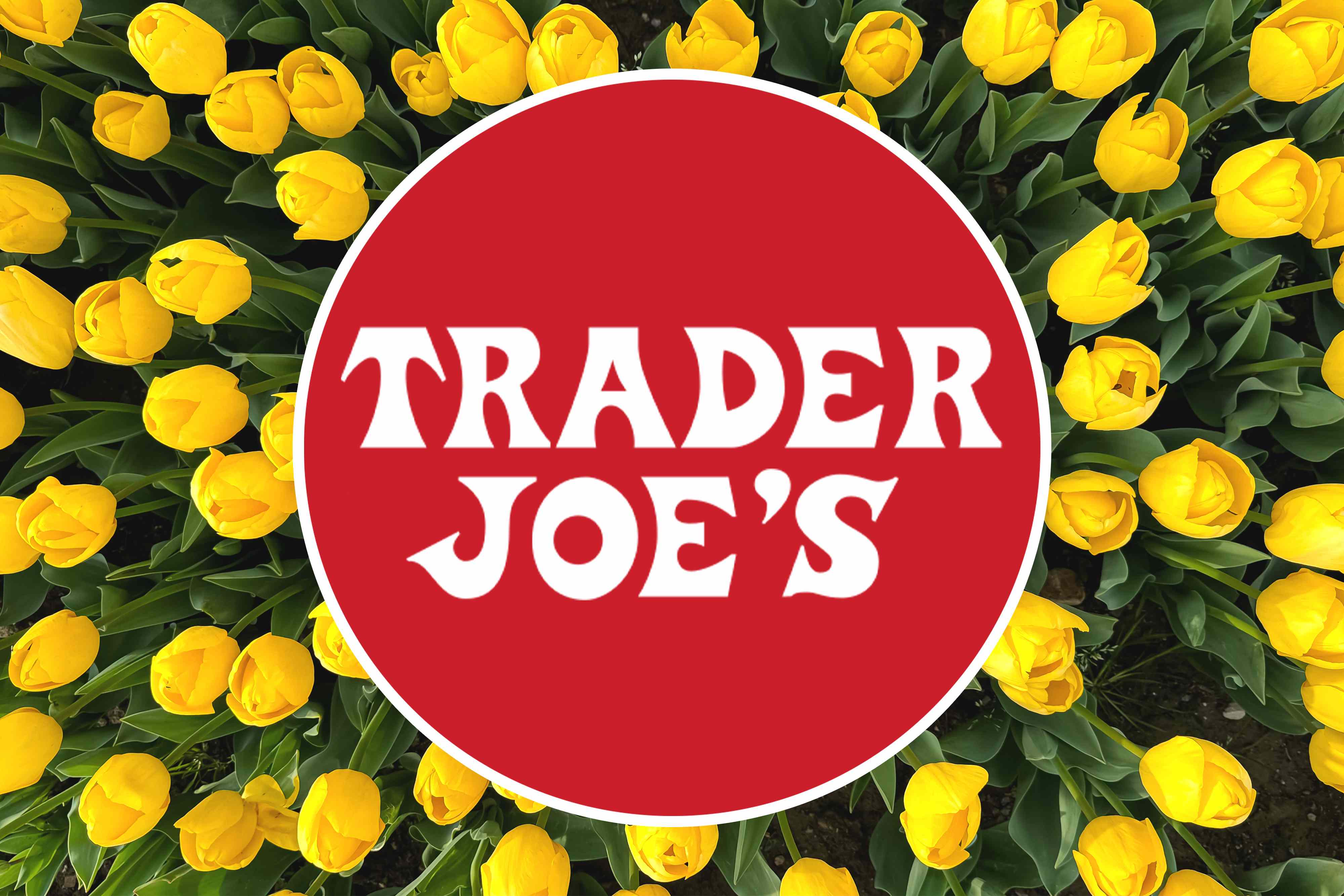 The 7 best new Trader Joe's finds to kick off spring
