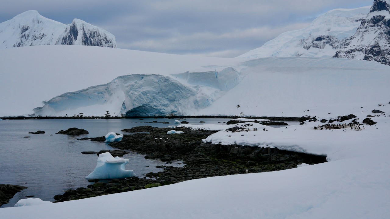 Antarctica uncovers freak cold volcano vent that’s breaking science