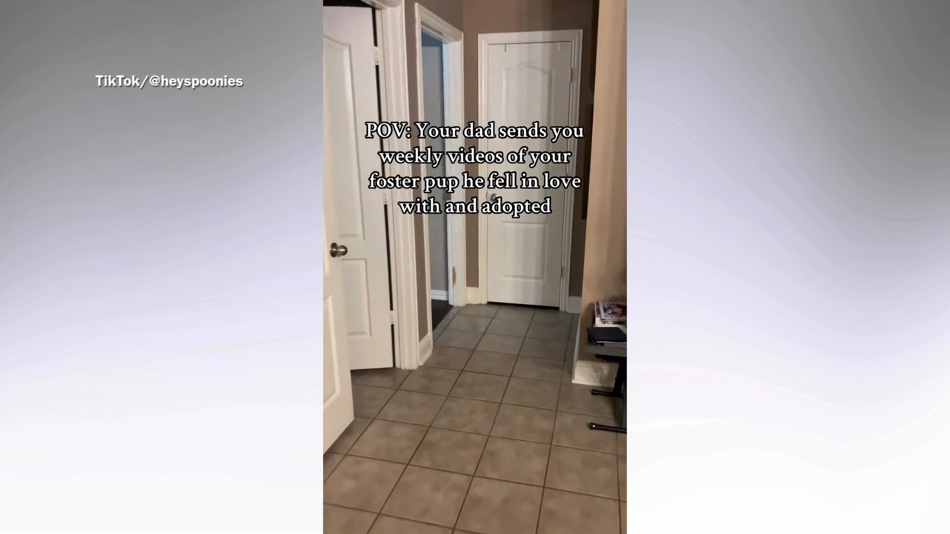 Dad sends videos of senior rescue dog to daughter, footage melts hearts