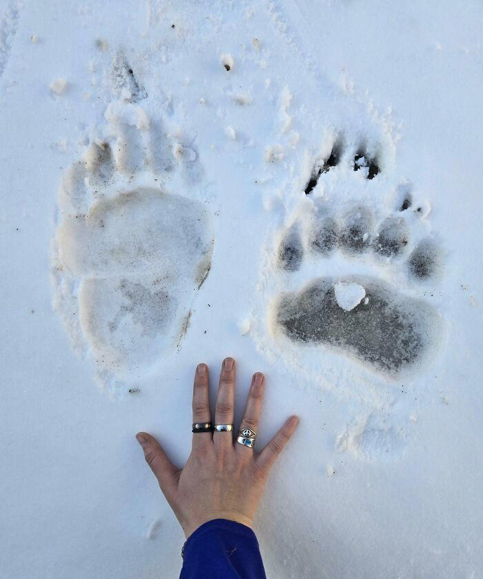 54 people saw normal everyday things in big sizes and had to share the pics