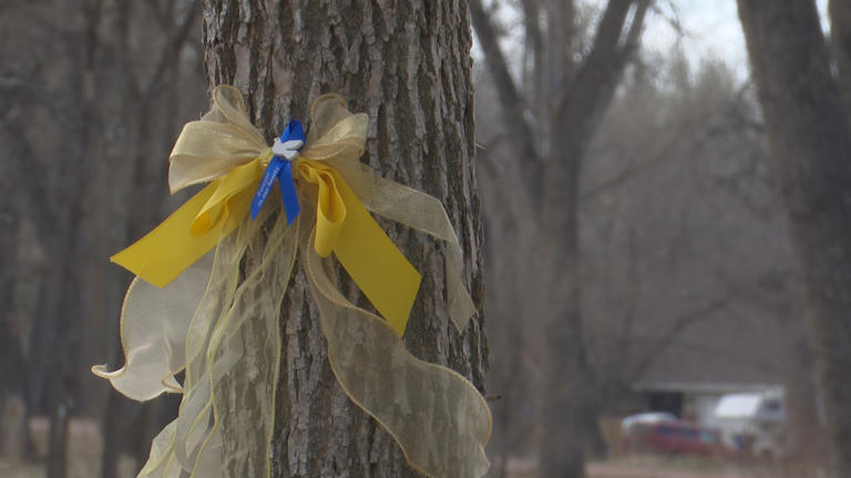 ‘People still do care’: 35 years since Colorado Springs-area plane ...