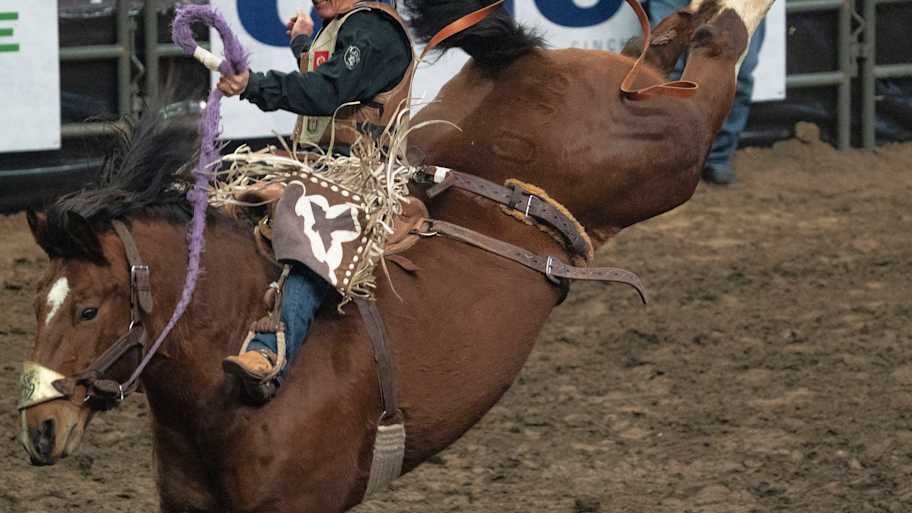 Saddle bronc rider Darcy Radel earns his first ever spot in top 10 ...