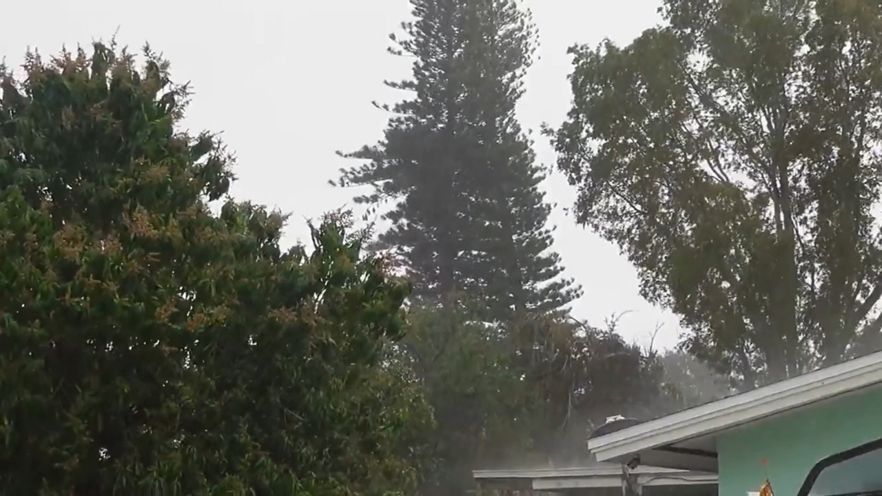 Heavy rain and wind gusts move through Golden Gate, Florida, USA