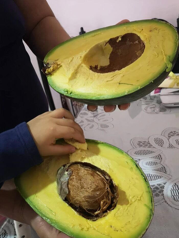 54 people saw normal everyday things in big sizes and had to share the pics