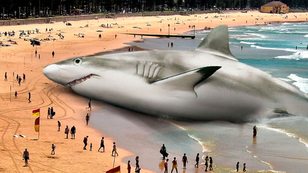 5 terrifying shark encounters you’ll never forget