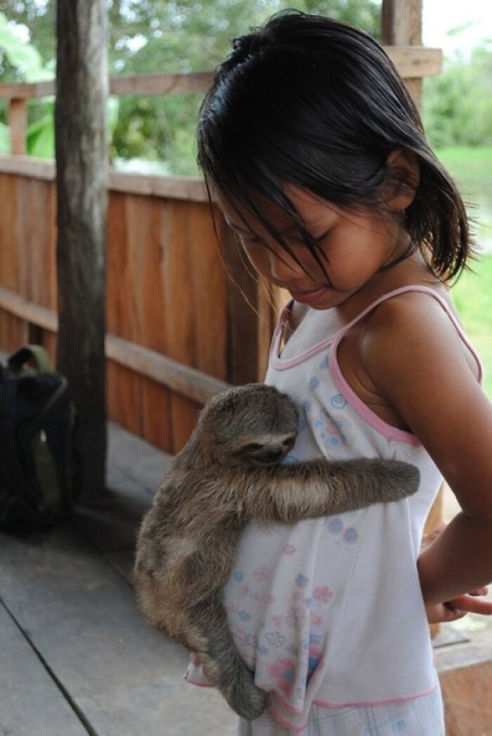 50 Wholesome Photos That Prove We Don’t Deserve Animals