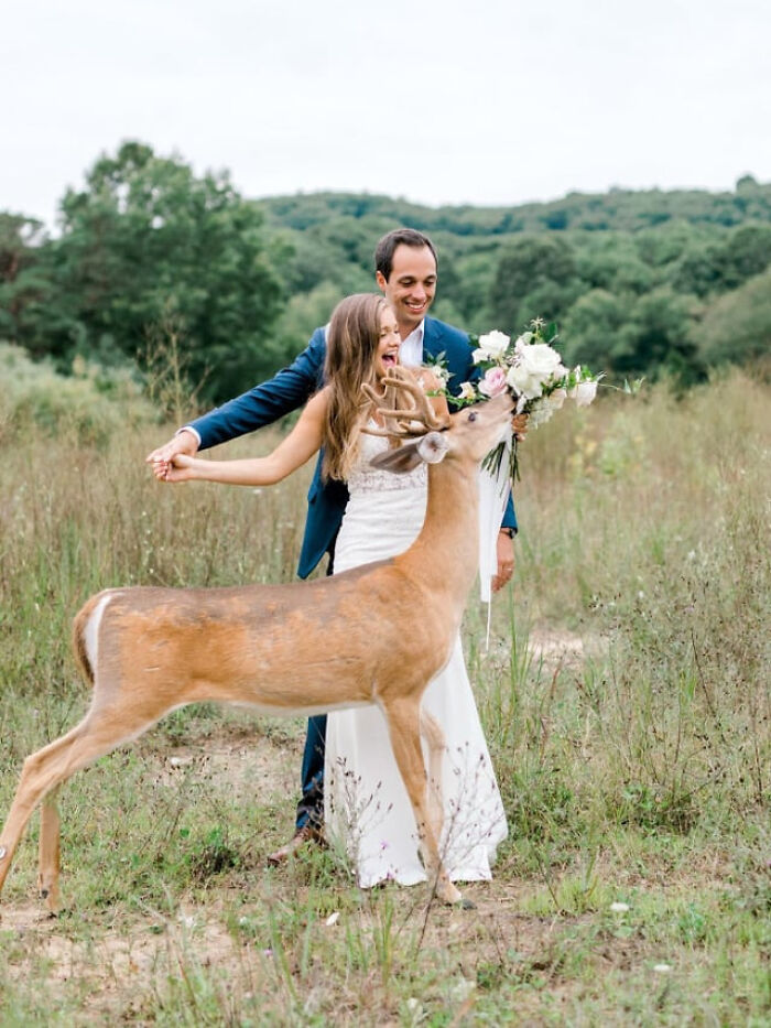 50 Wholesome Photos That Prove We Don’t Deserve Animals