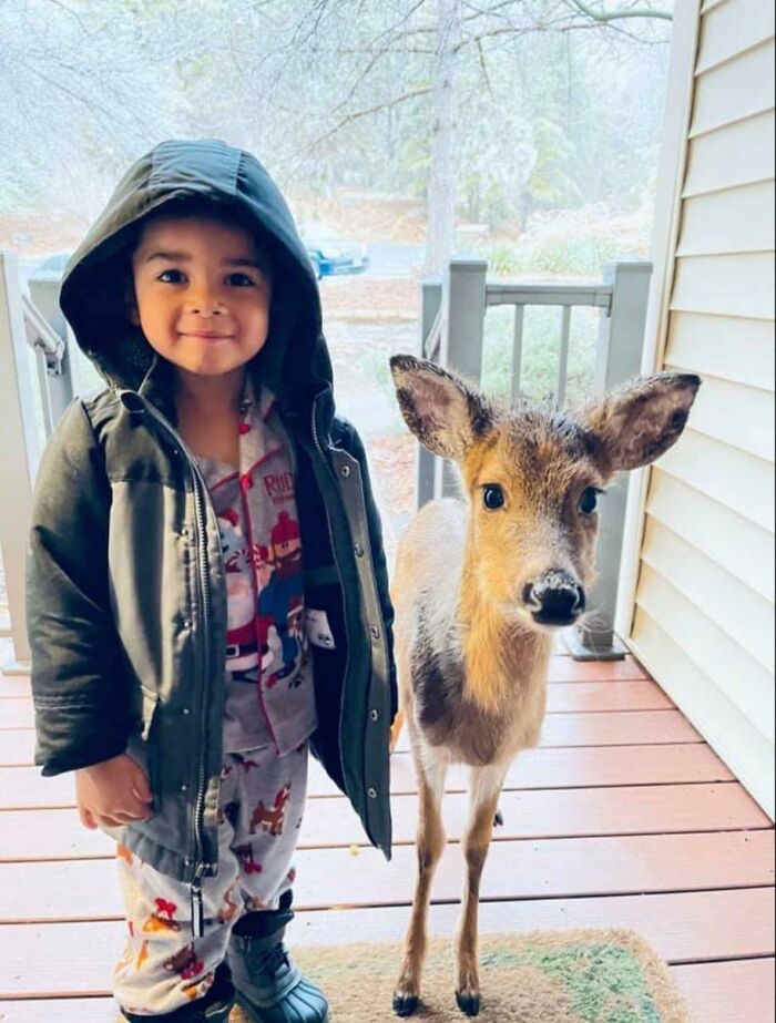 50 Wholesome Photos That Prove We Don’t Deserve Animals