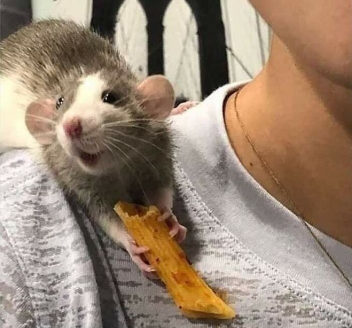 50 Wholesome Photos That Prove We Don’t Deserve Animals