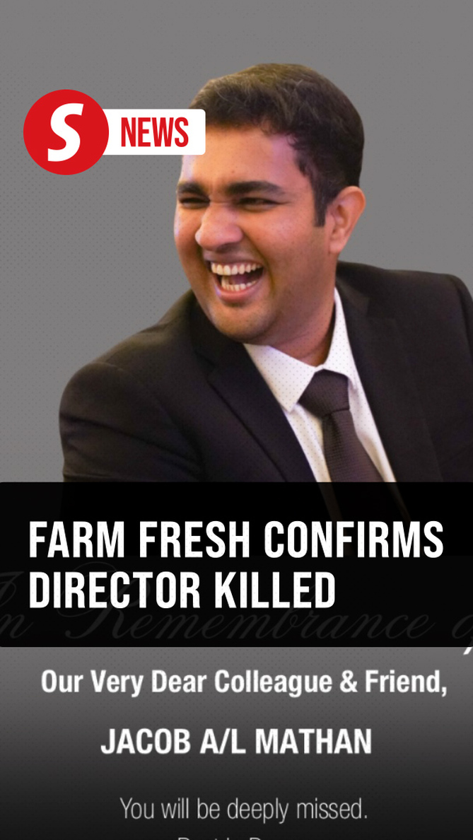 Farm Fresh farm director dies in Philippines helicopter crash