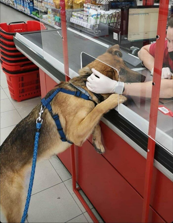 50 Wholesome Photos That Prove We Don’t Deserve Animals