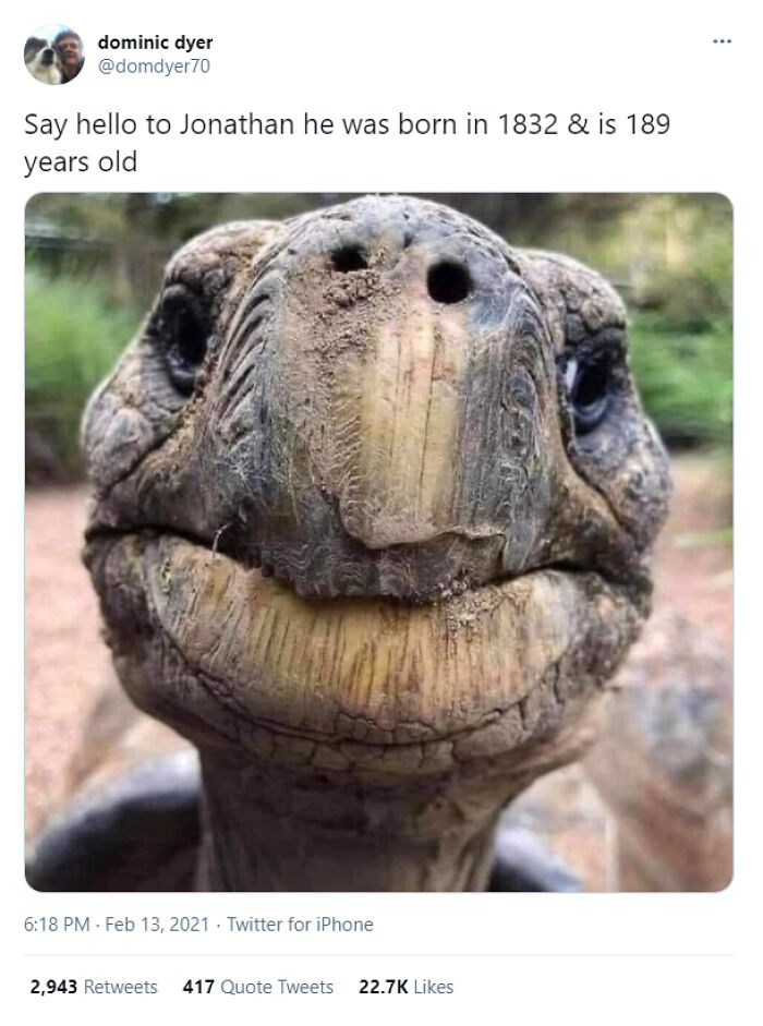 50 Wholesome Photos That Prove We Don’t Deserve Animals