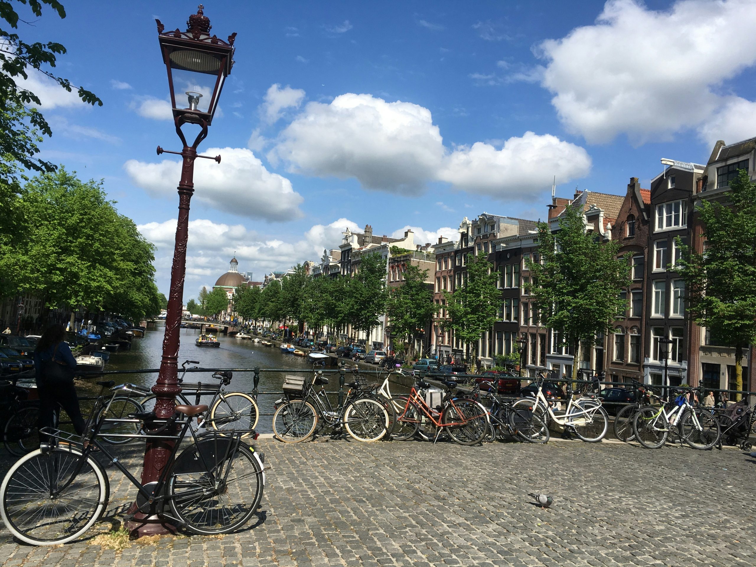 Easy family bike trails to ride in Amsterdam