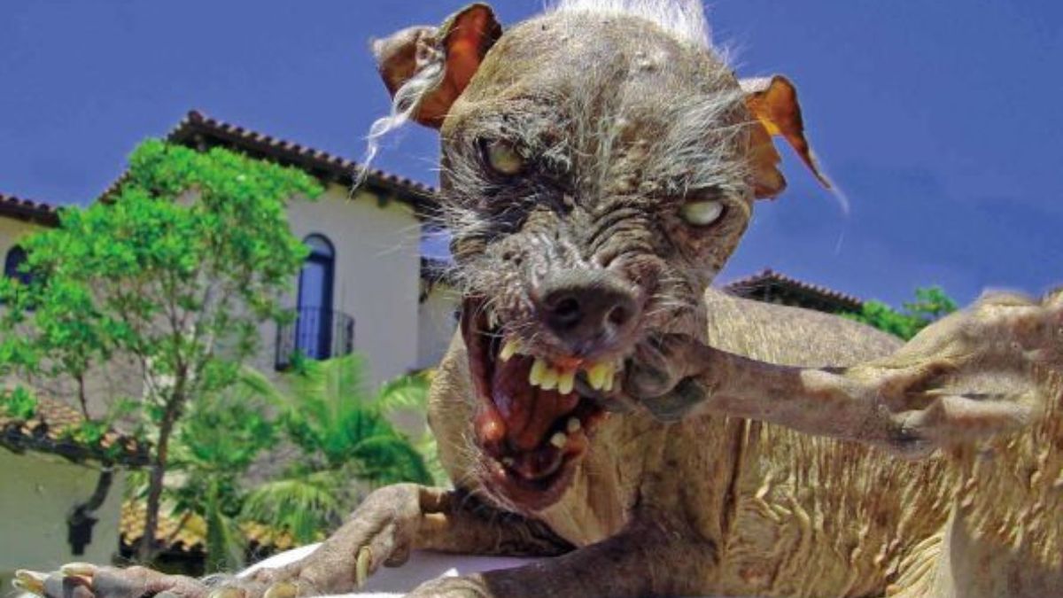 19 animals that look like pure science fiction monsters