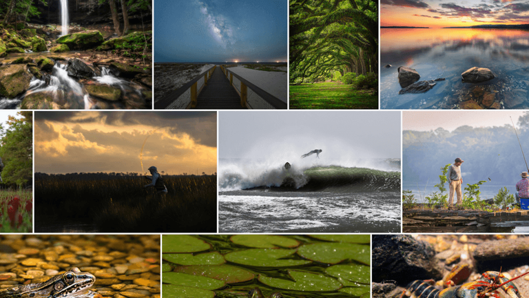 Outdoor Alabama highlights 2026 photo contest winners