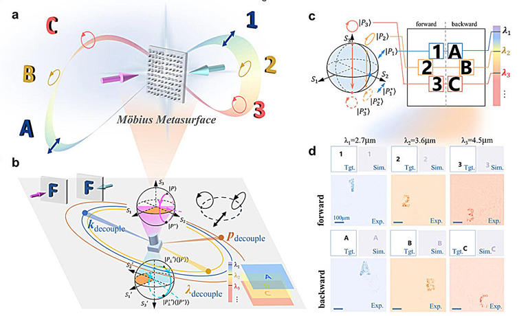 Möbius-inspired surface controls light in two directions