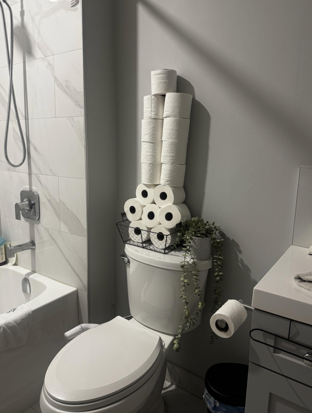Artistic toilet paper display with rolls stacked creatively on a bathroom toilet, surrounded by a small plant and toiletries