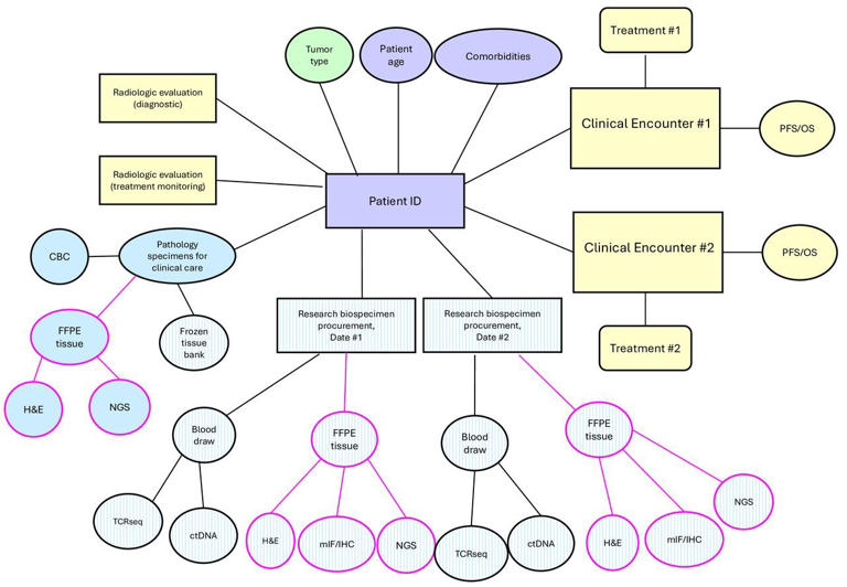Open source cancer database created for easier disease study