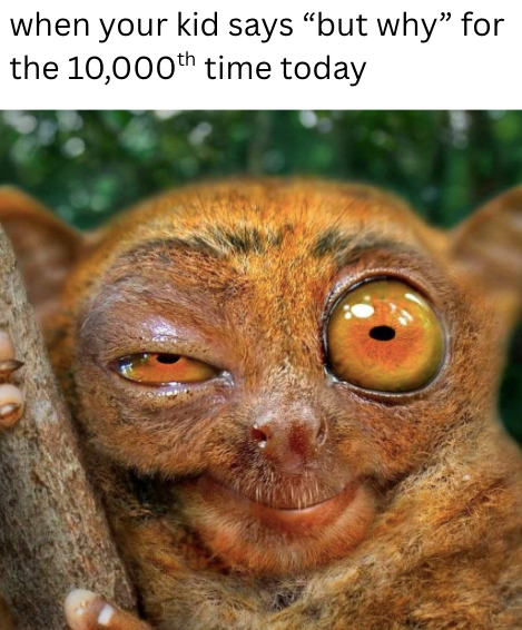 24 hilarious animal meme hijinks to help blow off some steam
