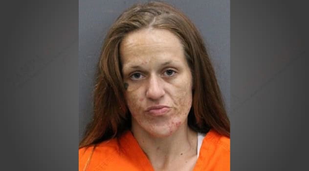 Arrest made in fatal Seffner stabbing: Woman charged with first-degree murder<br><br>