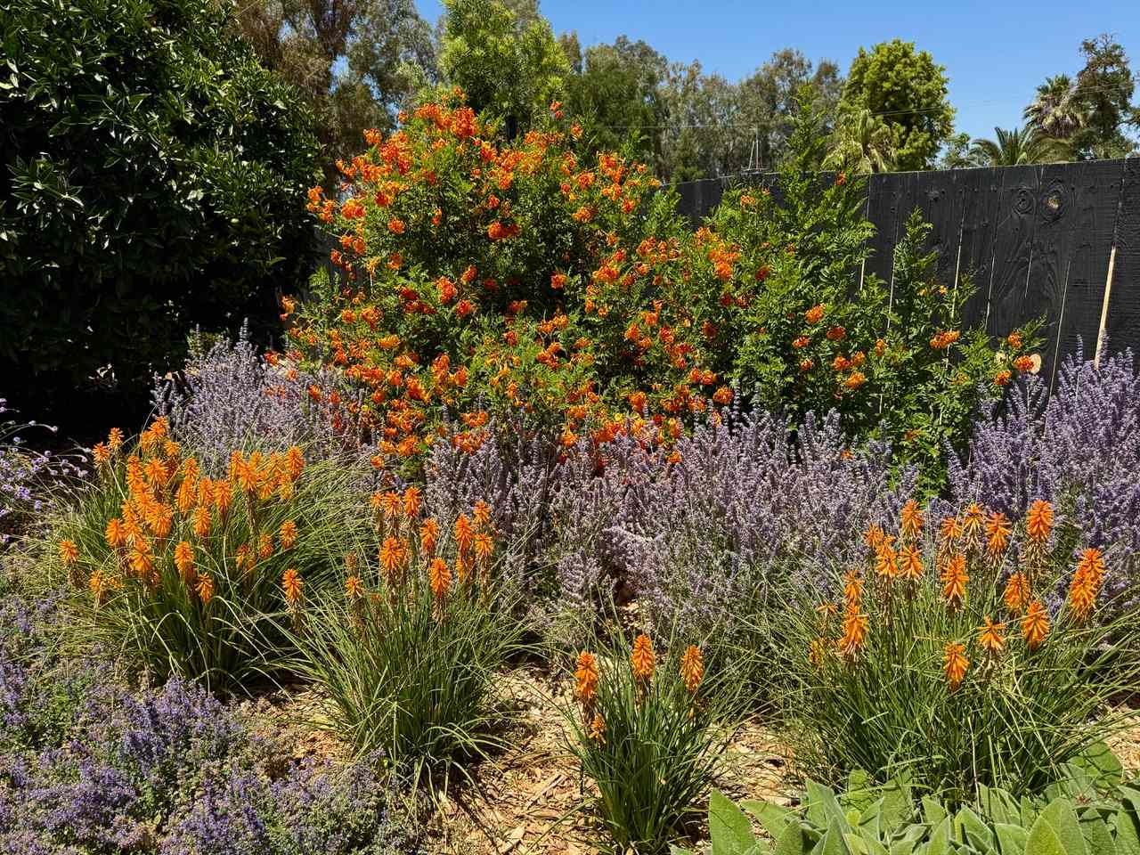 7 plants gardening pros predict will be all the rage in 2026