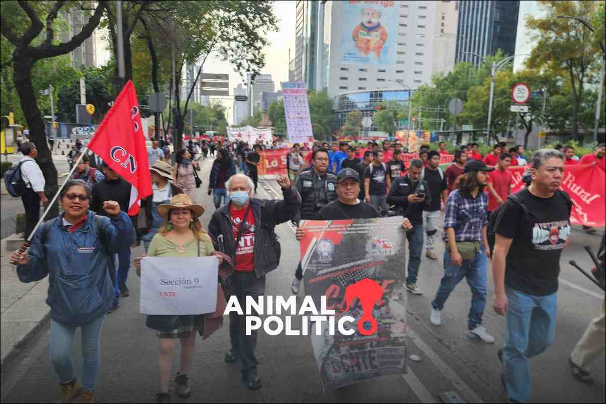 CNTE convoca paro nacional de 72 horas en demanda de revisión de leyes ...
