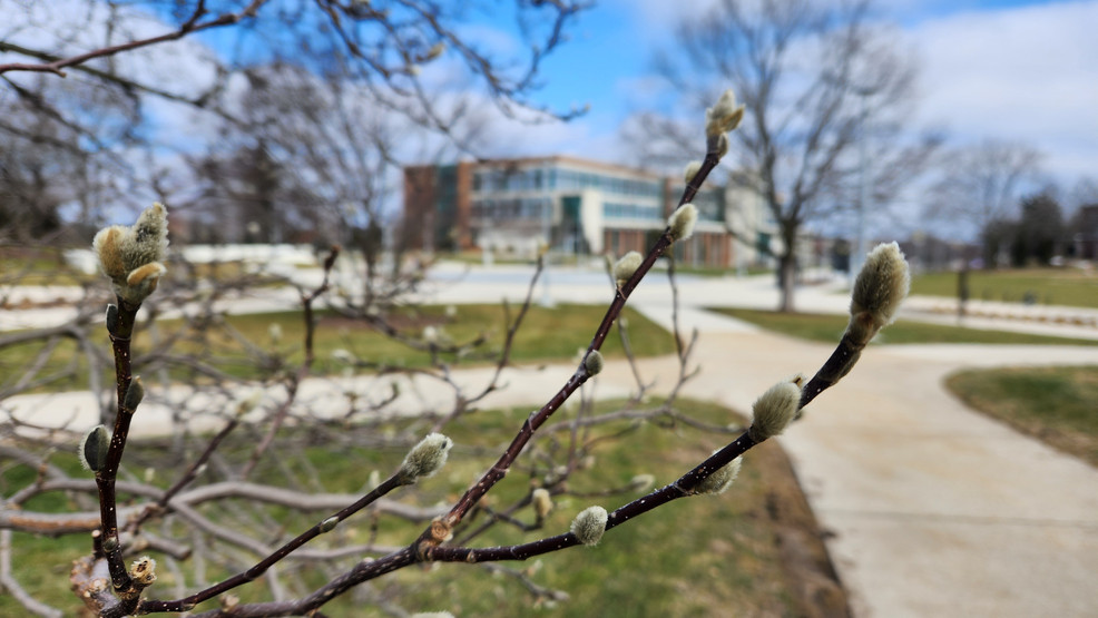 Fool's spring arrives in West Michigan