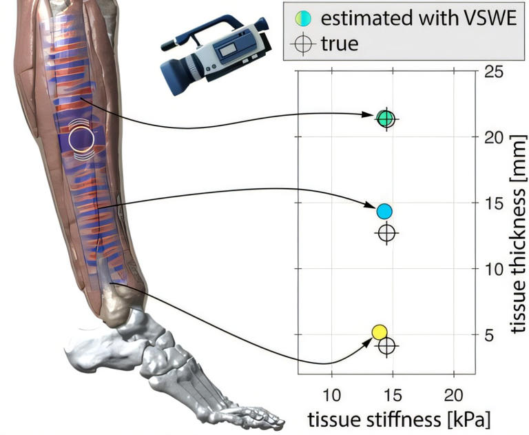 Using tiny ripples at skin level to monitor for possible health ...