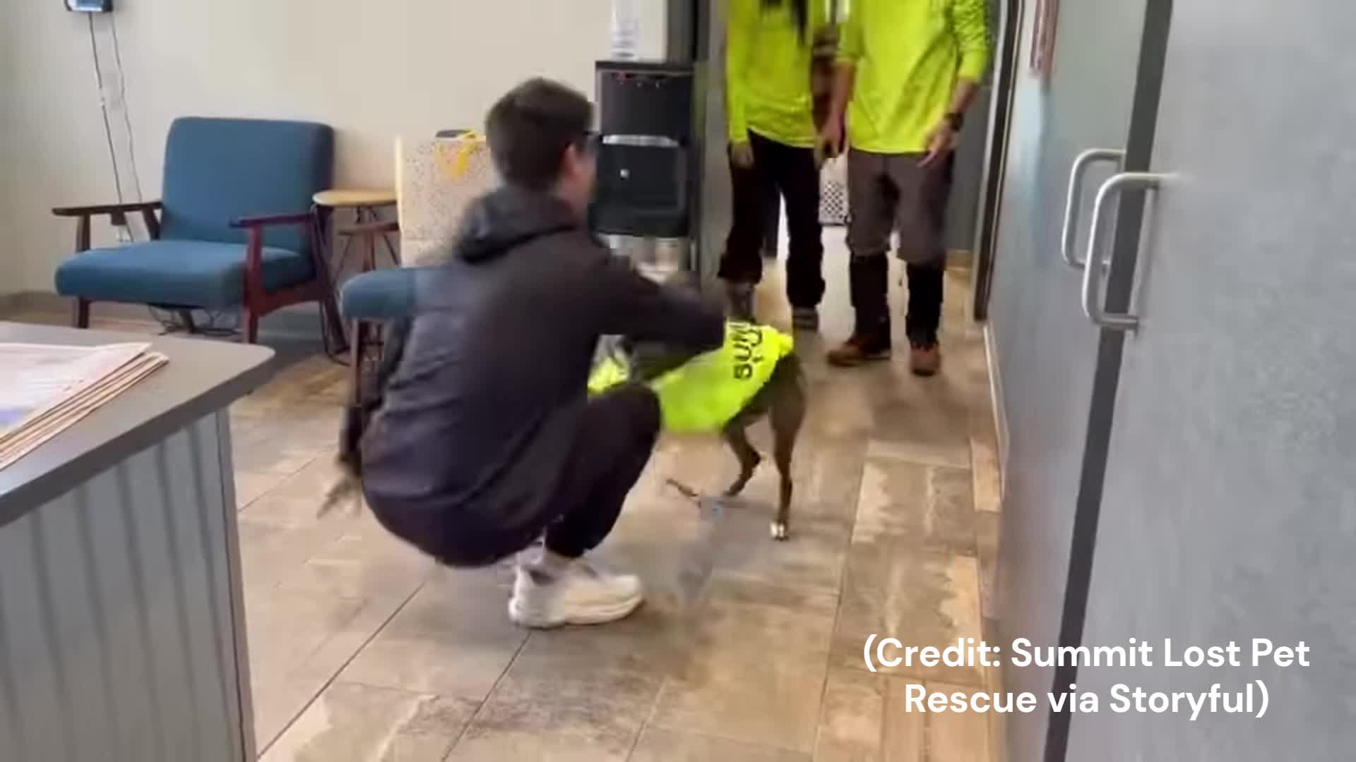 Heartwarming moment dog reunites with owner after 43 days in wilderness ...