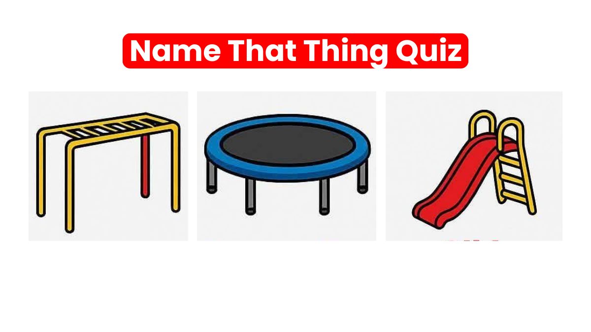If you have a top-notch English vocab, name all these playground items ...