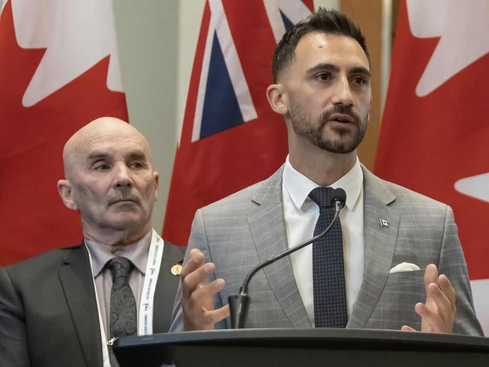 Provincial and territorial leaders announce plan for a connected ...