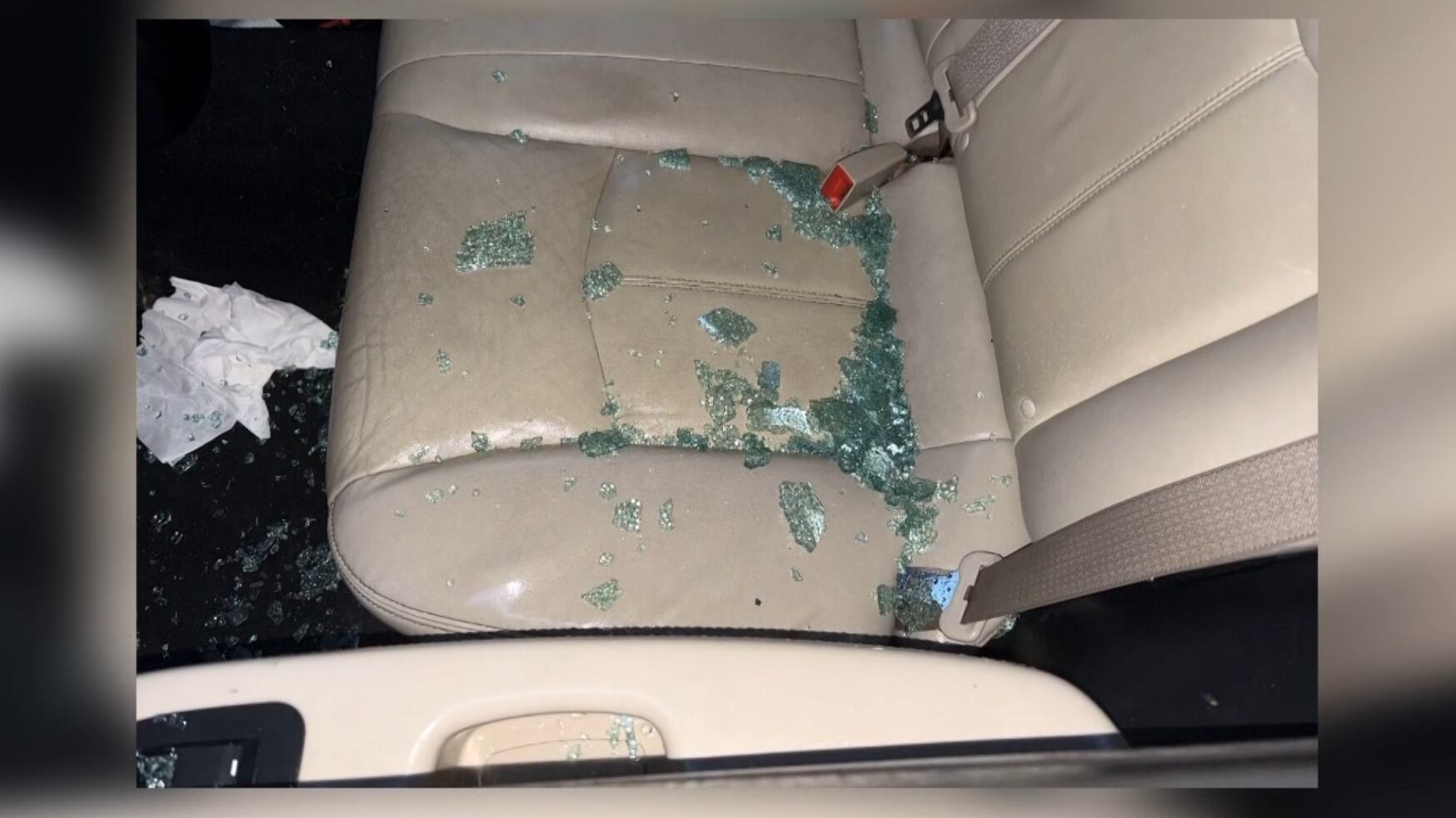 Teen charged with multiple vehicle break-ins; suspected in February ...