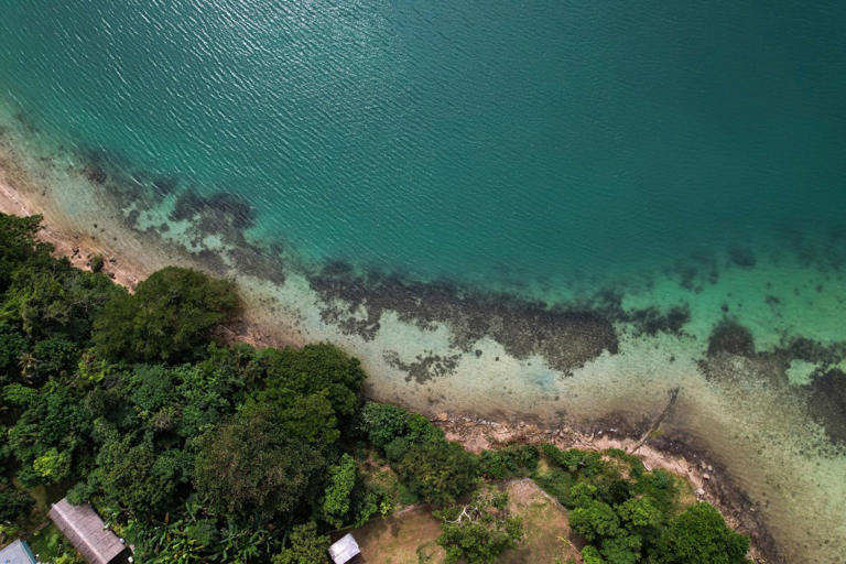 Tens of millions more may be at risk amid rising sea levels, study finds