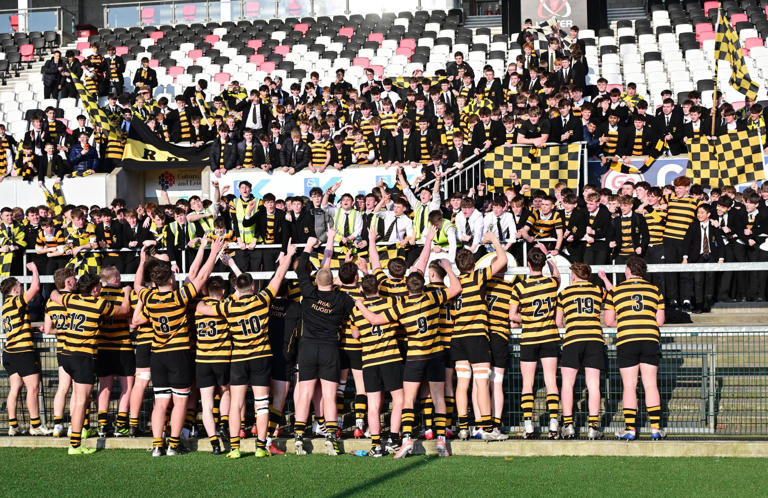 RBAI book place in Schools' Cup final with victory over Ballymena