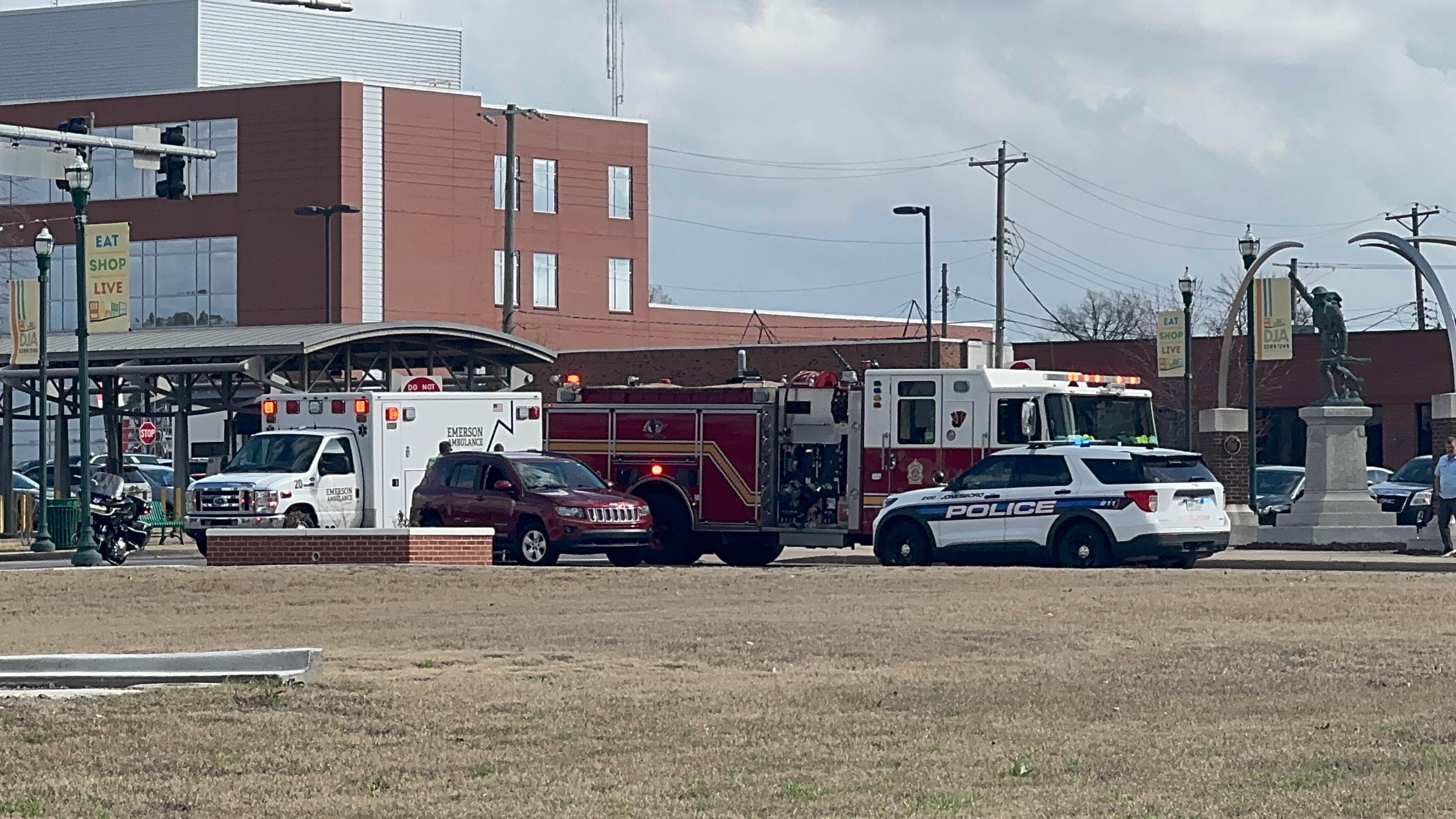 Victim, driver identified in fatal pedestrian crash