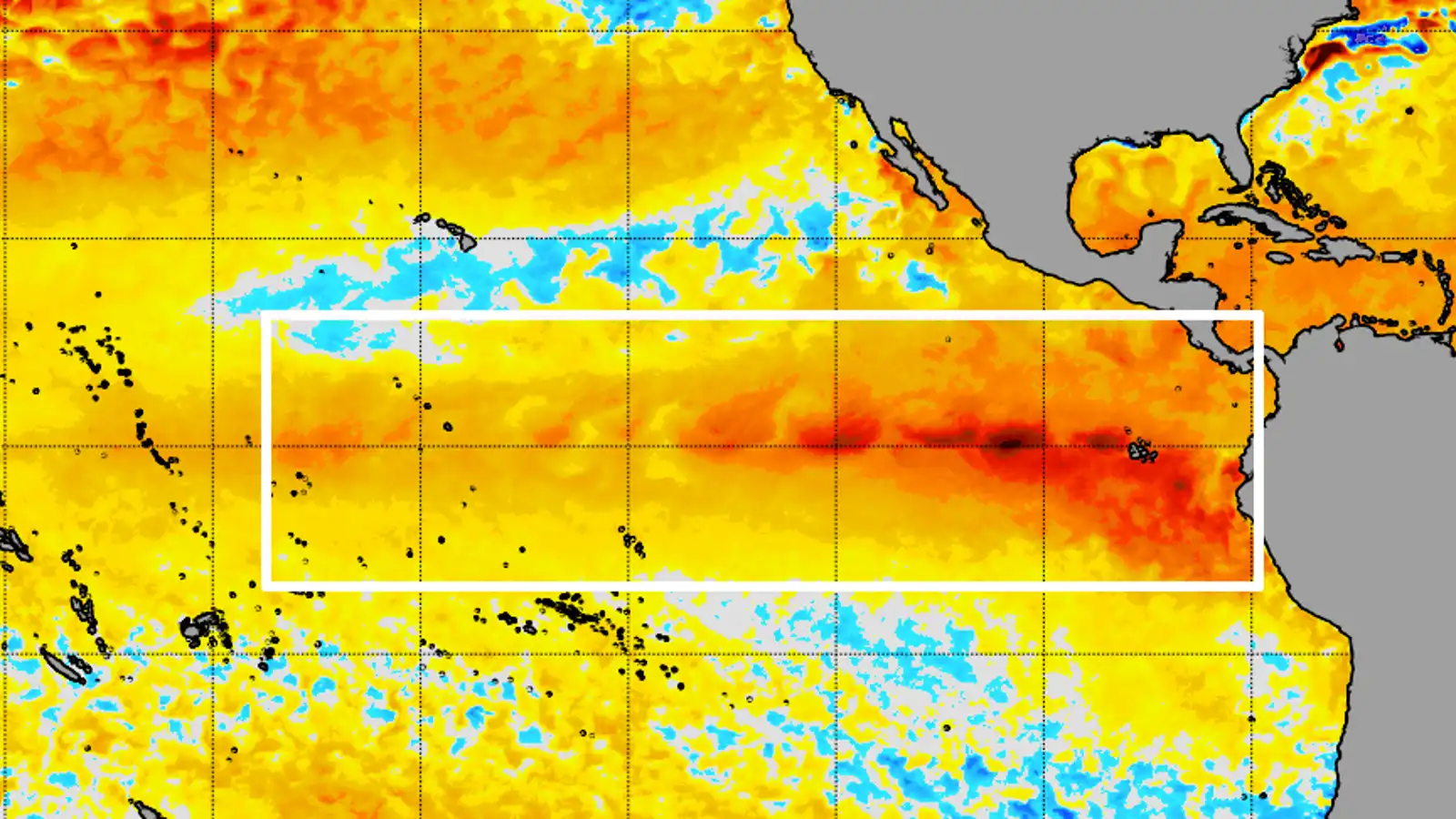 El Niño: How a global climate pattern impacts your weather