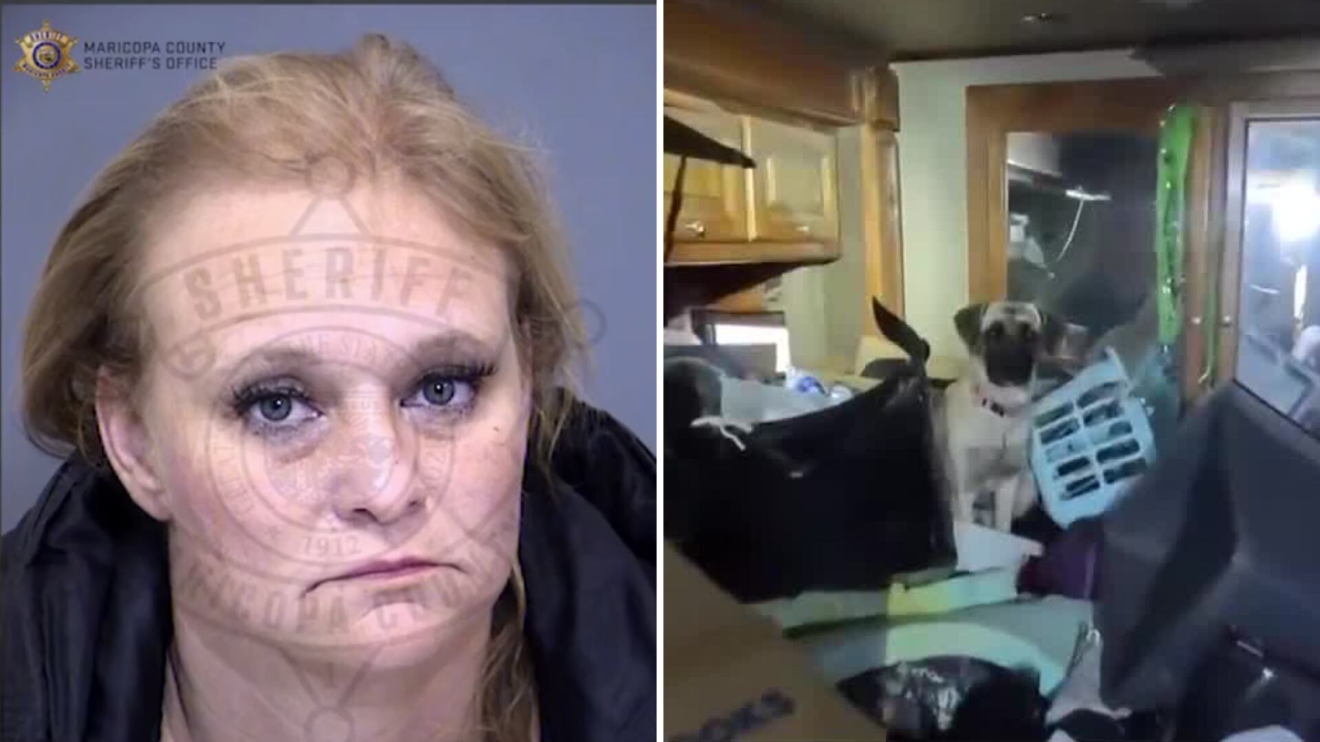 Woman accused of animal abuse after nearly two dozen dogs rescued near ...