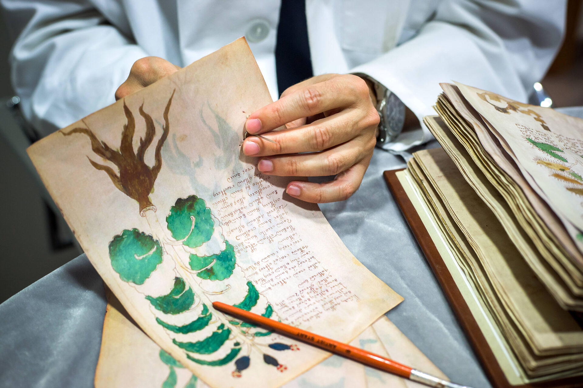 Das Voynich-Manuskript: Das größte literarische Mysterium aller Zeiten